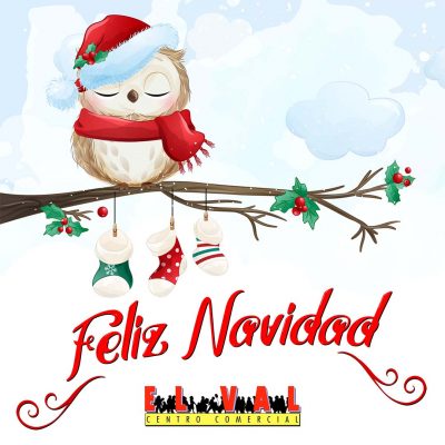 ¡Feliz Navidad!